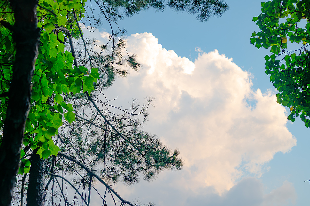 喚醒相冊(cè) 激活鏡頭里的多巴胺（圖ZMzUzMTk5NDYw） - 風(fēng)光攝影 - 站酷設(shè)計(jì)師葉楓0原創(chuàng)素材 - 站酷ZCOOL