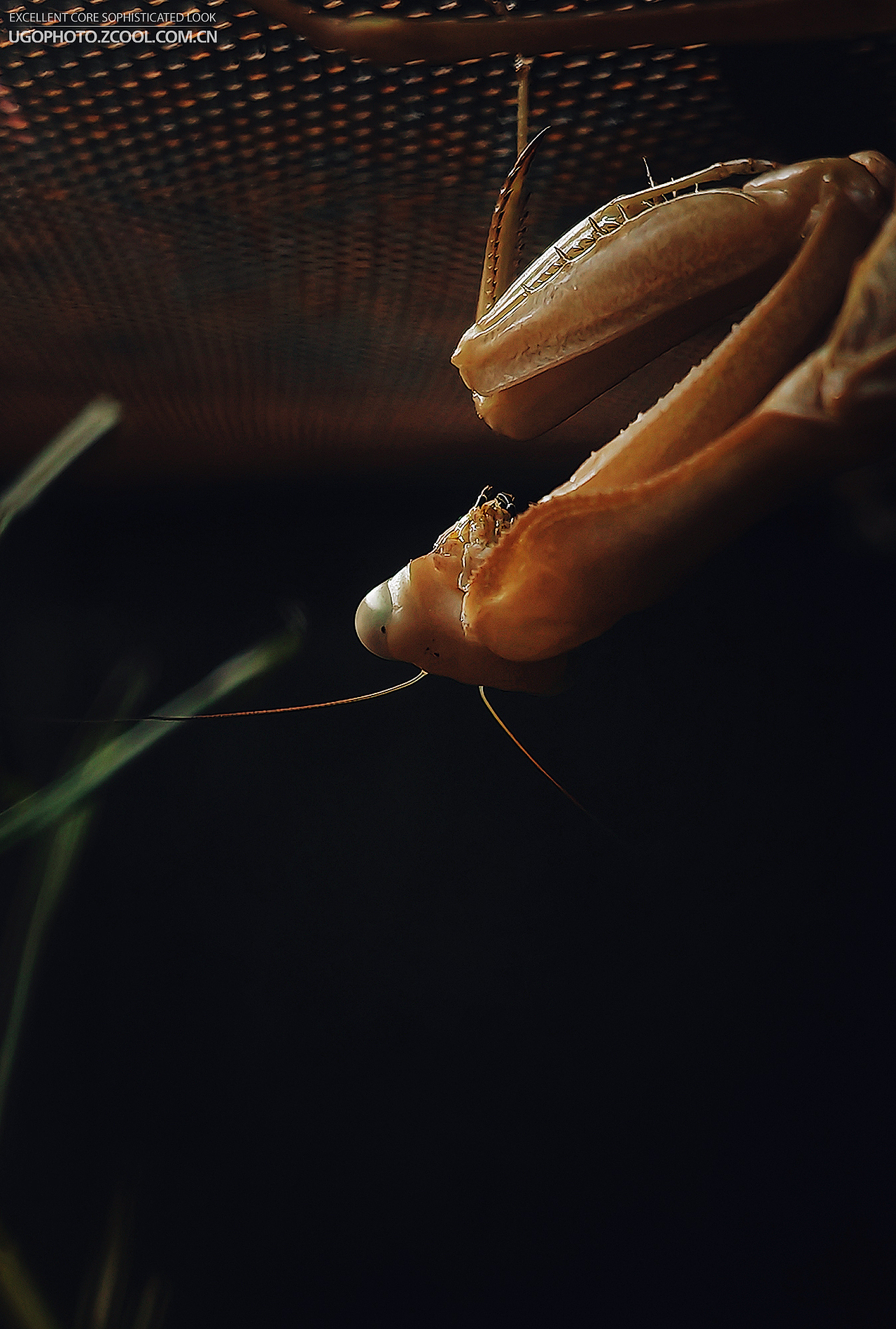 手机摄影些些【1】