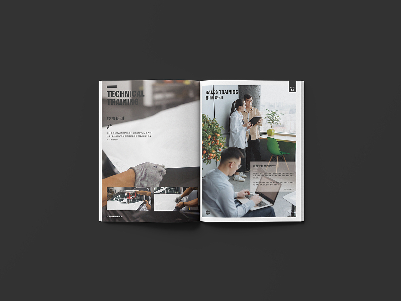 黛尔丝丹妮汽车贴膜画册设计