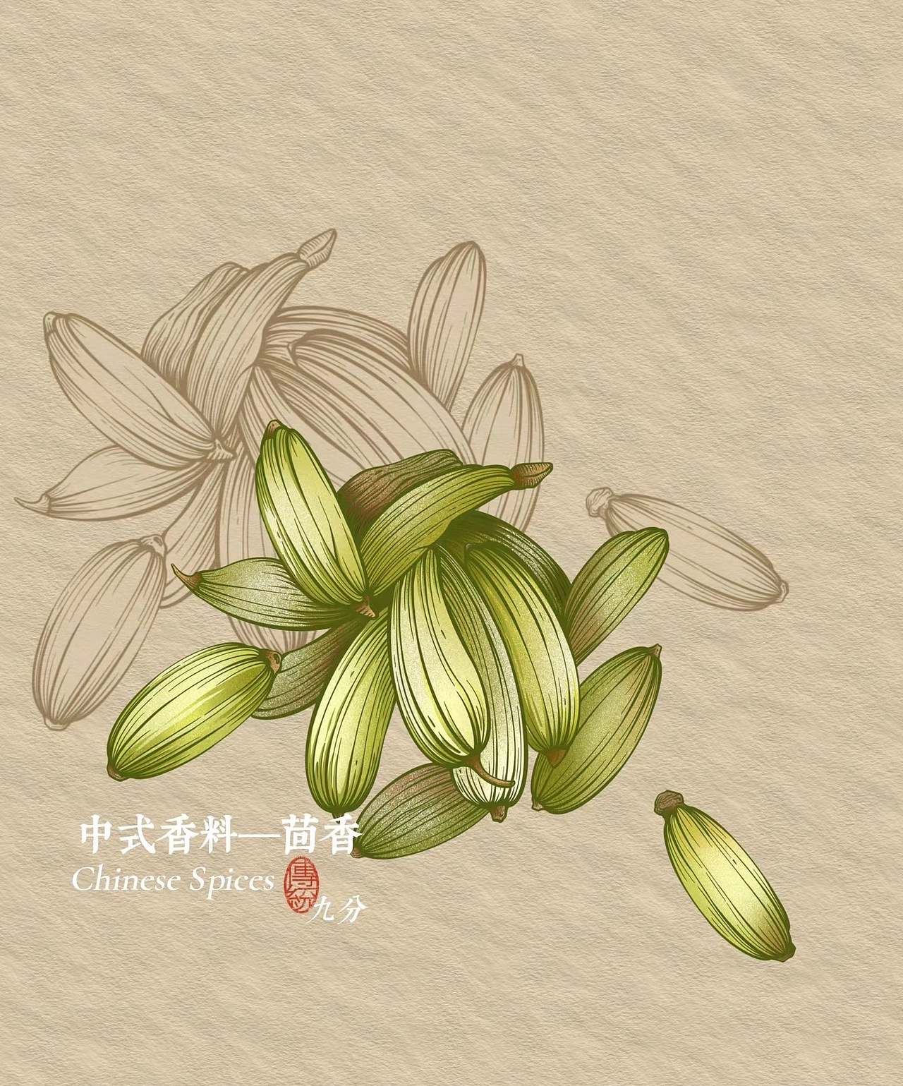 铜版画风格【中式香料|茴香|草果|香叶|八角|豆蔻】（图ZMzY4MDg5MDQ4） - 商业插画 - 站酷设计师九分YUii原创素材 - 站酷ZCOOL