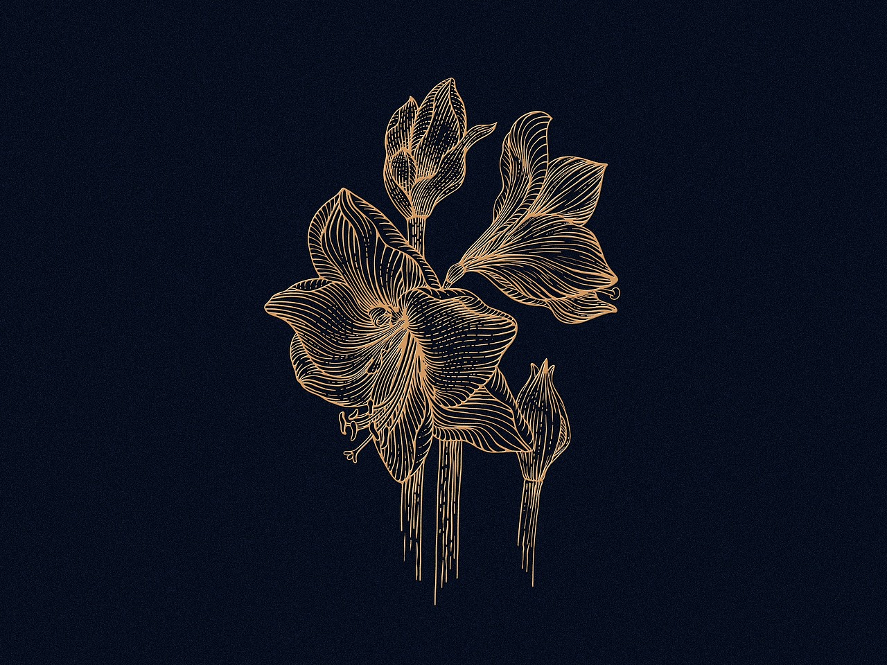 动物系列插画-2（图ZMjk2NTY0NzI4） - 商业插画 - 站酷设计师一叶插画原创素材 - 站酷ZCOOL