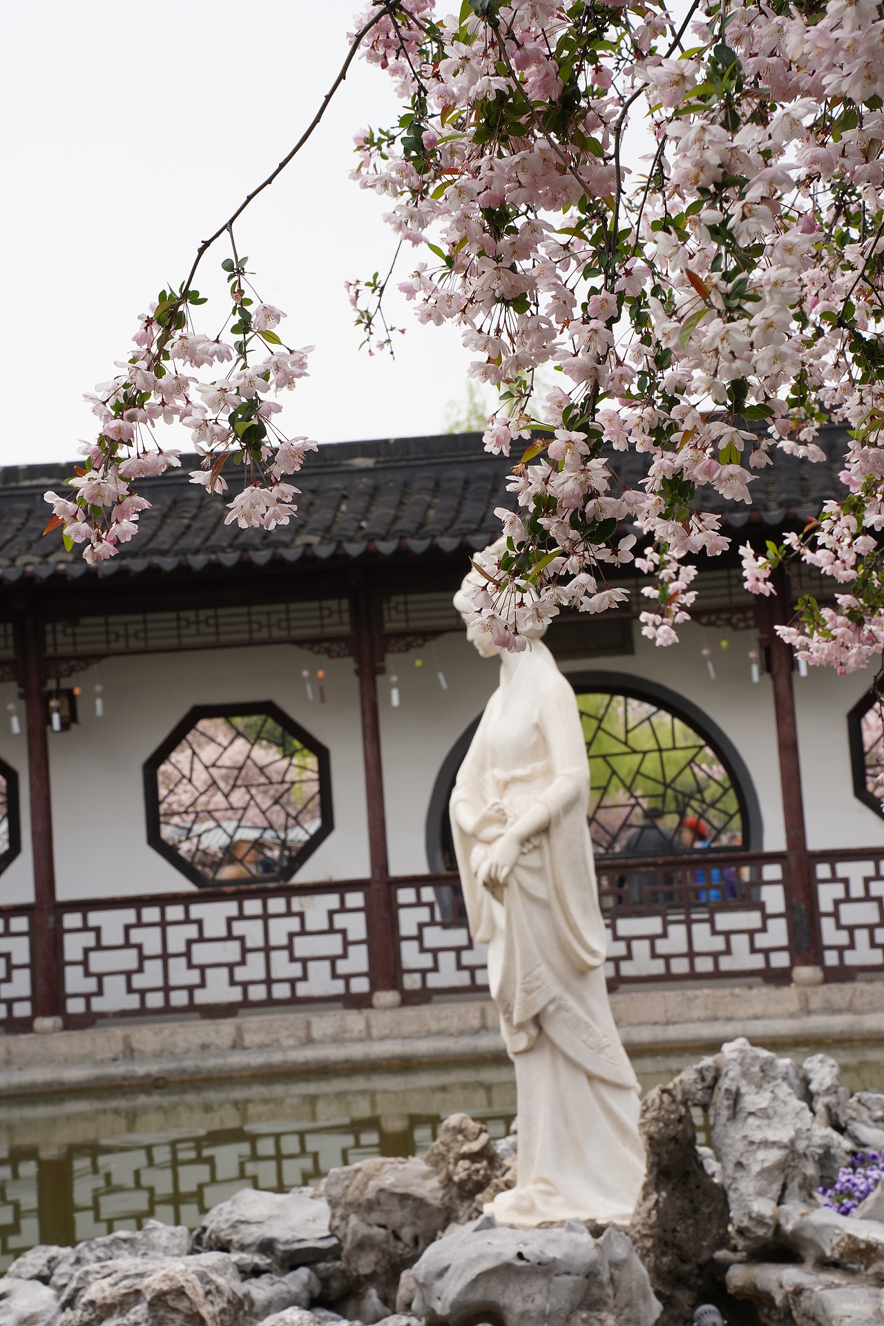 南京莫愁湖公园