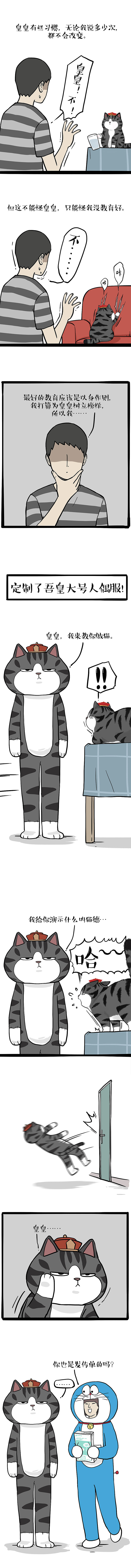 家里又多了一只皇皇!...真假皇皇????