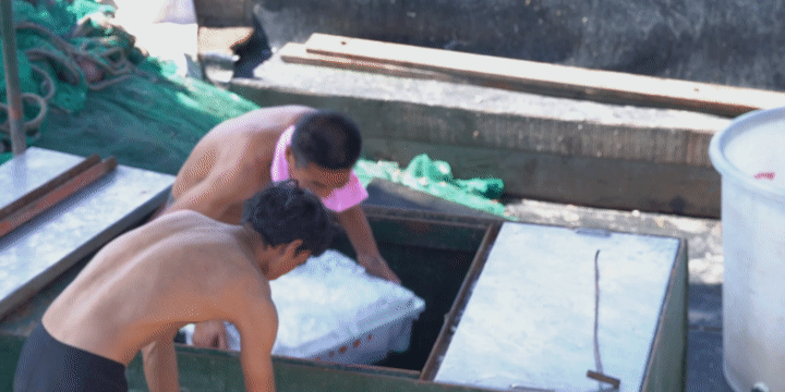 三門海碼頭|探訪記錄（圖ZMzA4NDQwNDYw） - 短片 - 站酷設(shè)計(jì)師絳的攝影日記原創(chuàng)素材 - 站酷ZCOOL