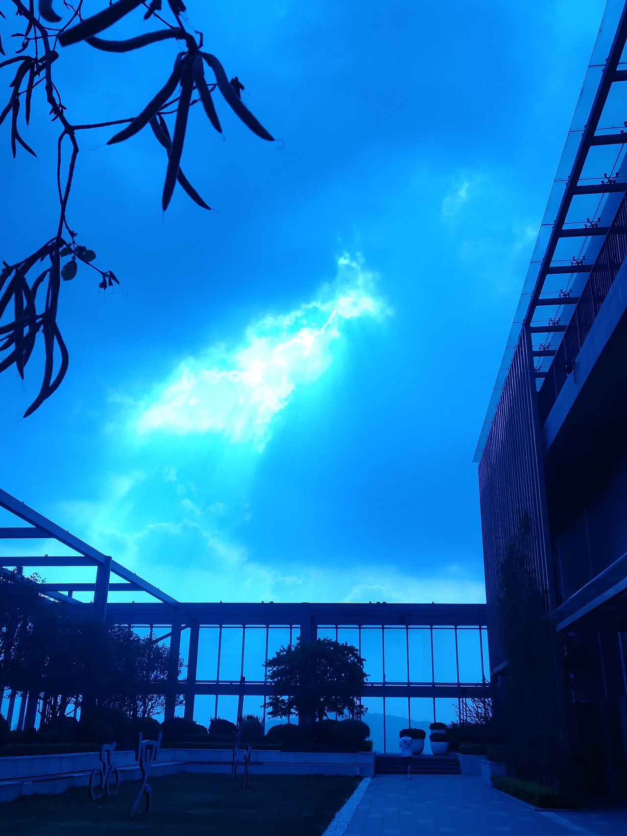 云斑耀影，日暮星沉