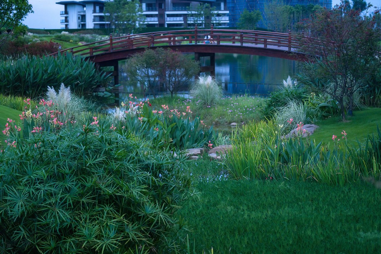 【案例分享】峨眉·高桥小镇