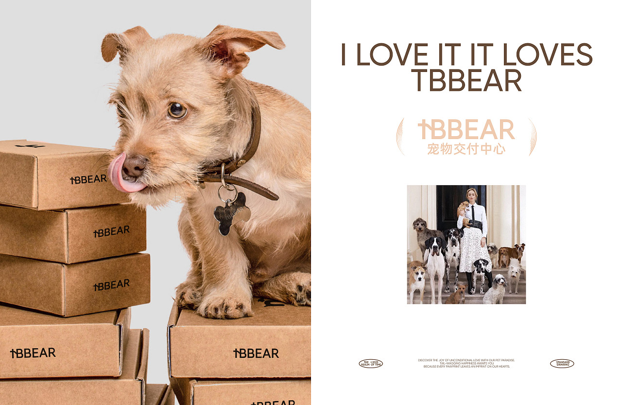 君毅原创x深圳湾宠物交付中心 品牌升级（图ZMzY2ODkyNjY0） - 品牌 - 站酷设计师君毅设计JunY1原创素材 - 站酷ZCOOL