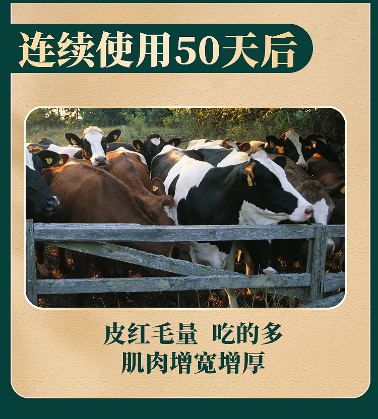 详情页 电商设计 畜禽水产养殖 饲料添加剂