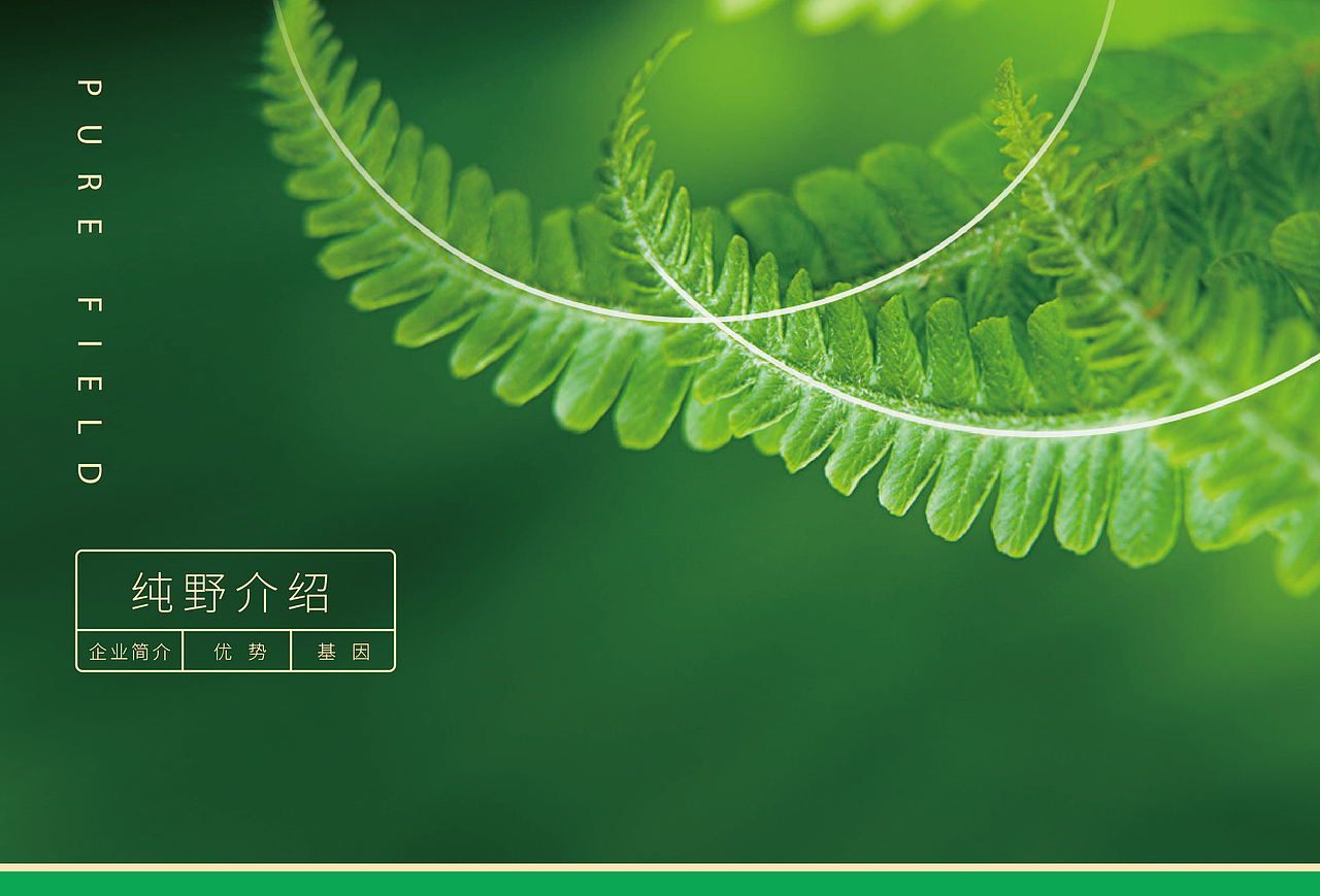 纯野-品牌推广-品牌画册