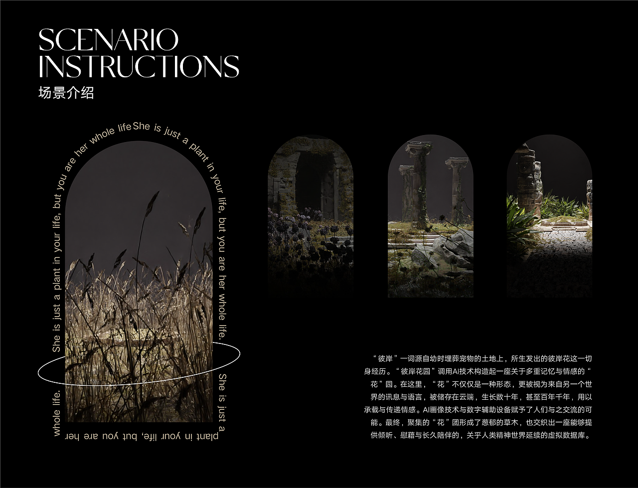 #2022青春答卷#彼岸花园-HANA TEXT