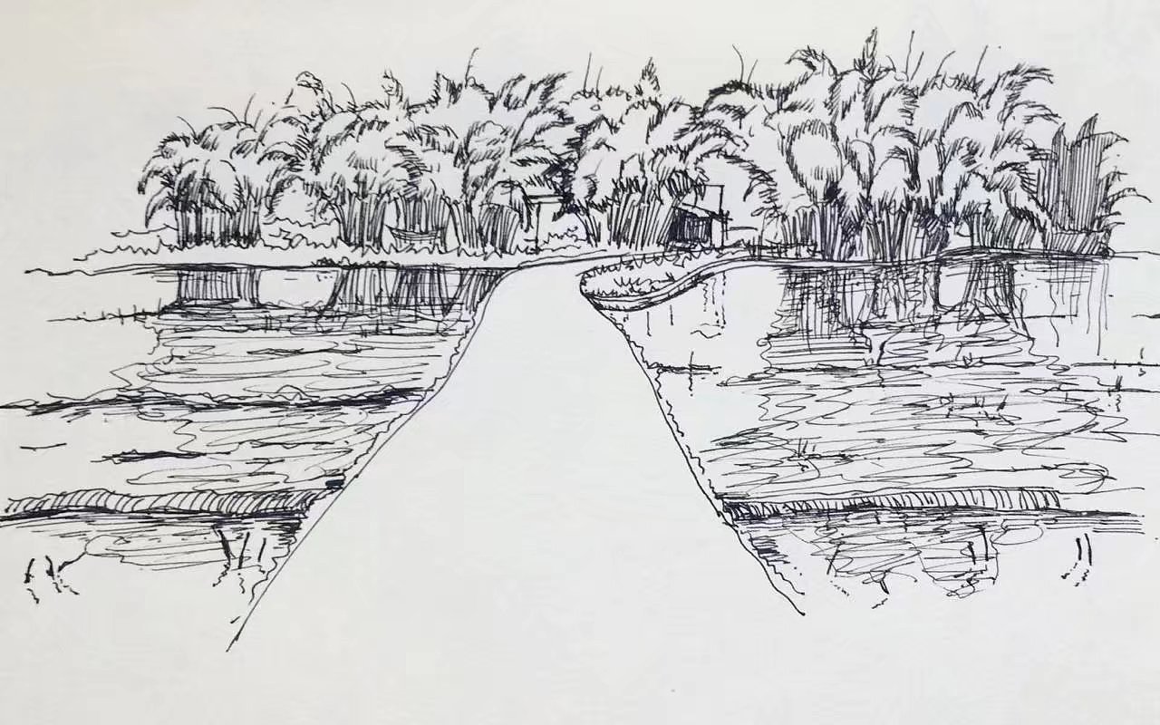 川西林盘(成都平原乡村)-黑白线条手绘