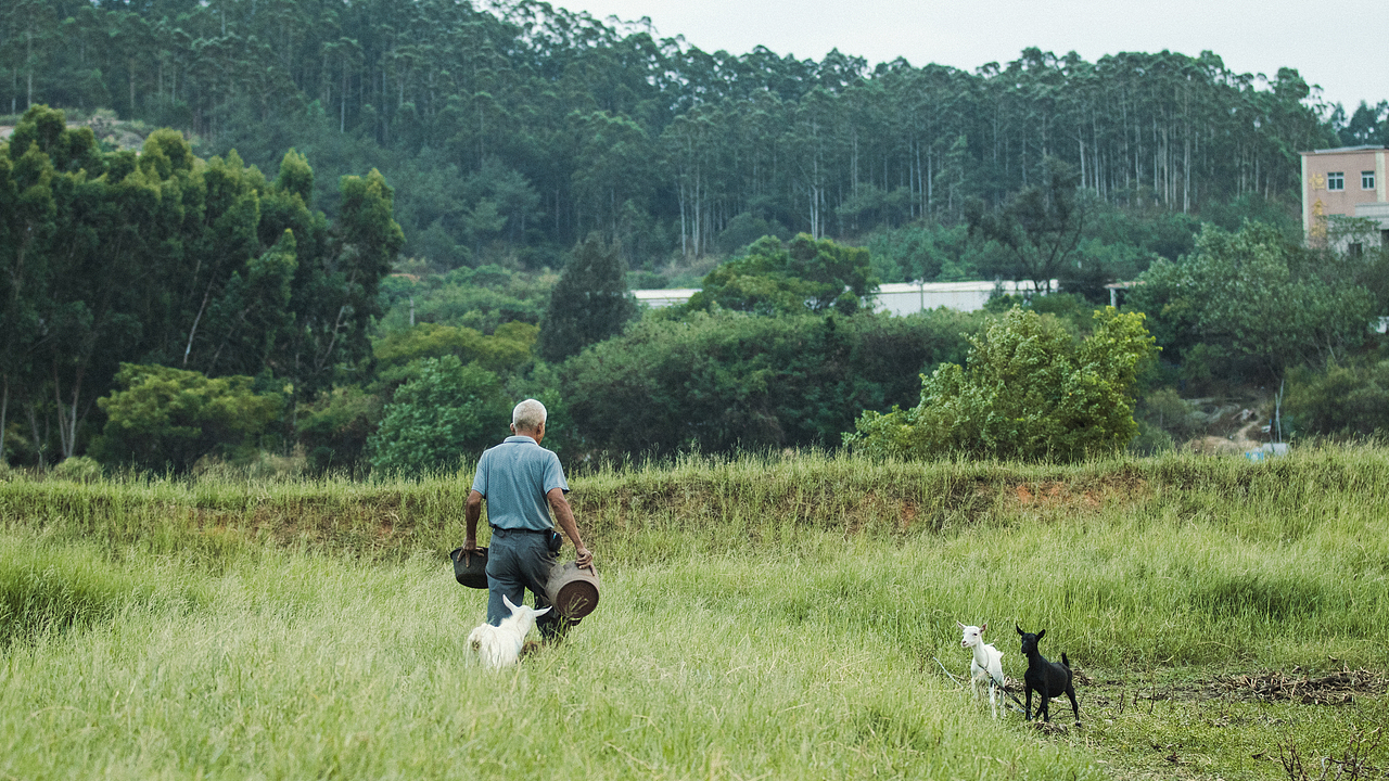 我们去草原的湖边