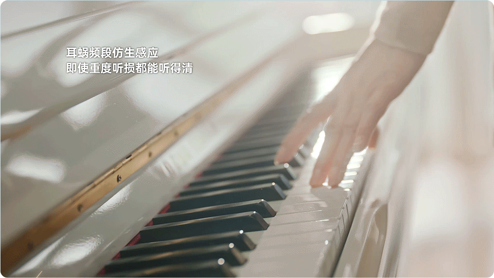 新银发案例-挚听助听器品牌全案