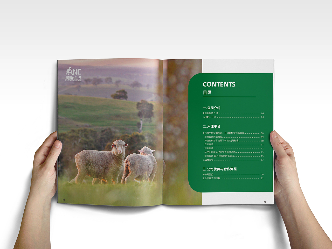 招商手册（图ZMzA1ODUxODEy） - 宣传物料 - 站酷设计师小小猫猫城原创素材 - 站酷ZCOOL