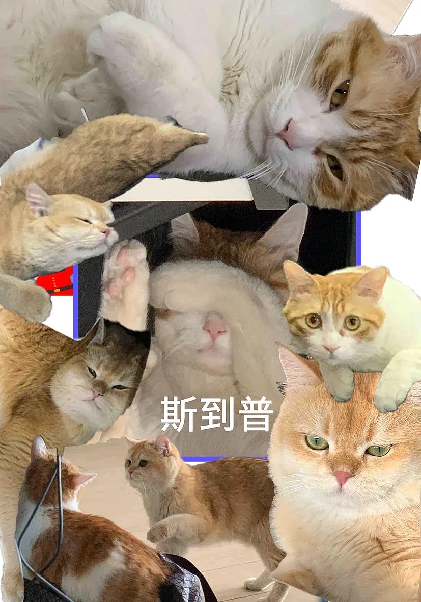 带薪玩VR游戏&撸猫&撸图&健身 尊嘟假嘟（图ZMzYzODc2MjI0） - 宣传物料 - 站酷设计师FunFitLand原创素材 - 站酷ZCOOL