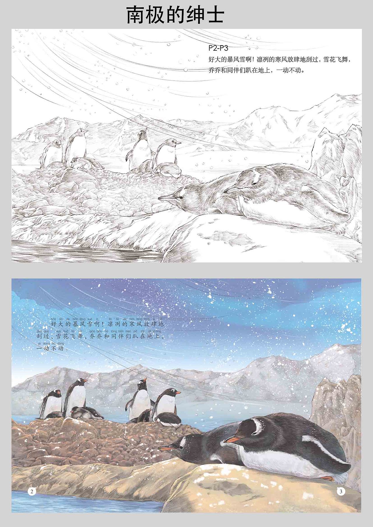 《自然科学绘本--动物类2》