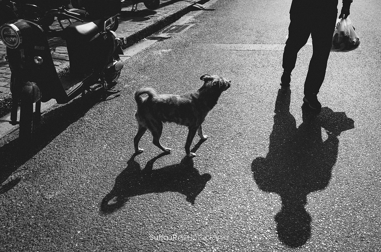 街头摄影 I 上海扫街