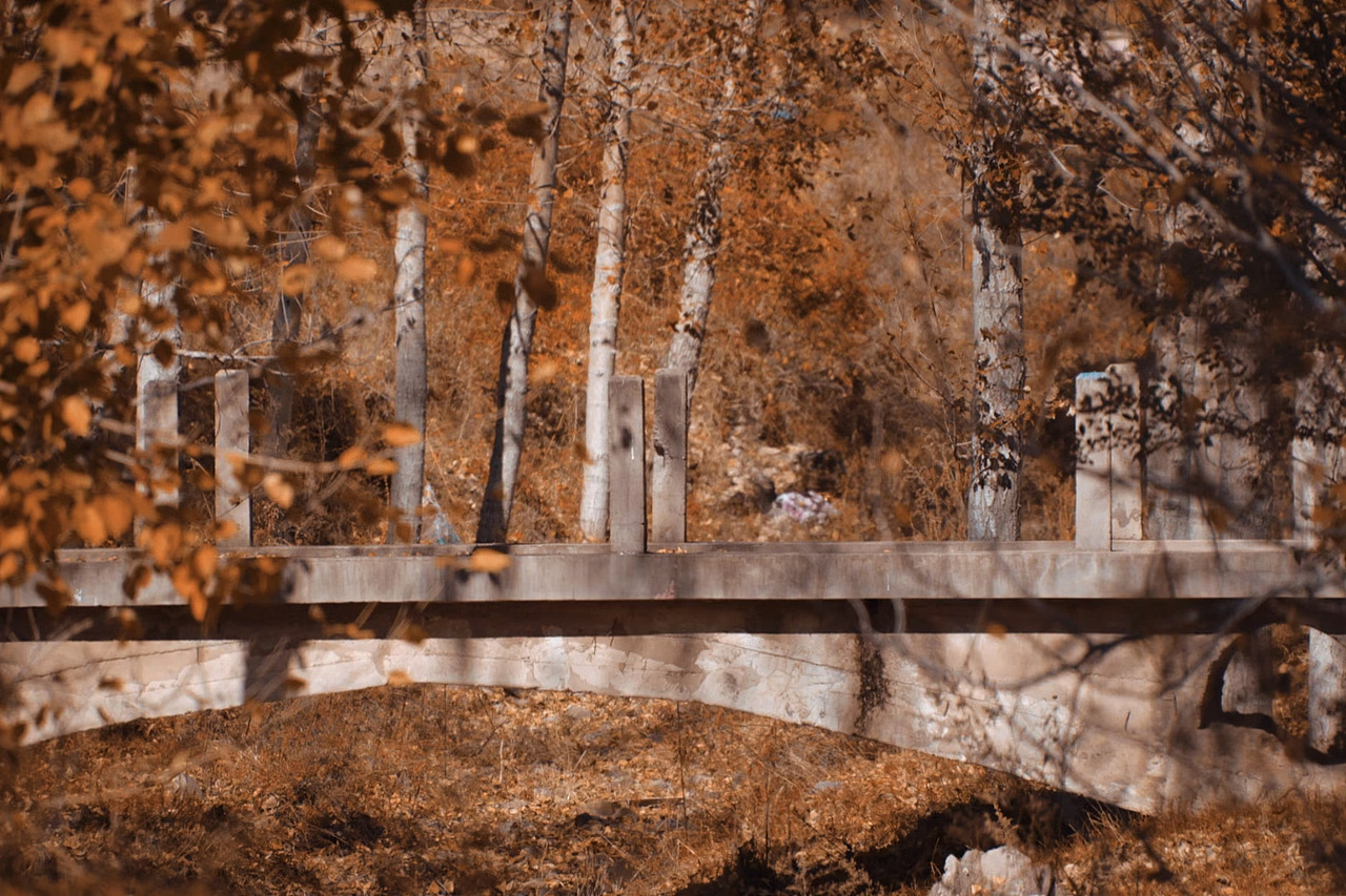 远去的故里 五五零二厂