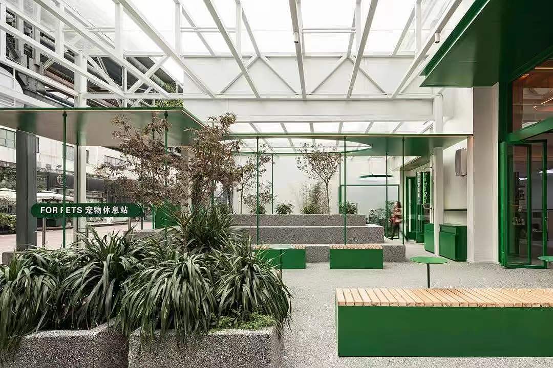 日咖、夜酒、宠物的生活变调