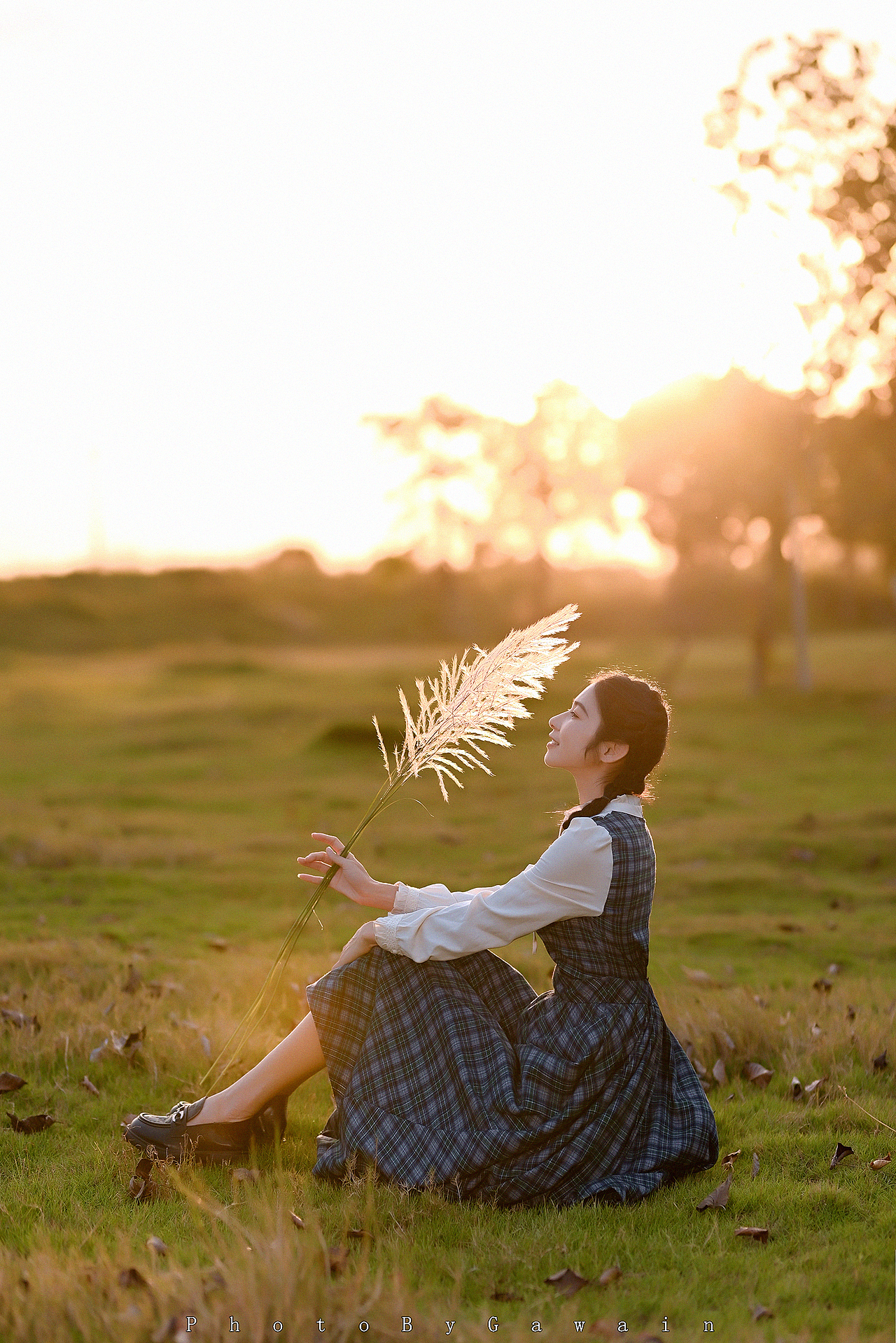 我在人间贩卖日落