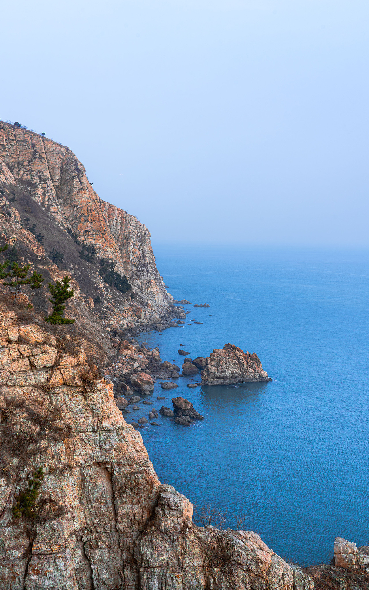 万物有灵×崖边的猫