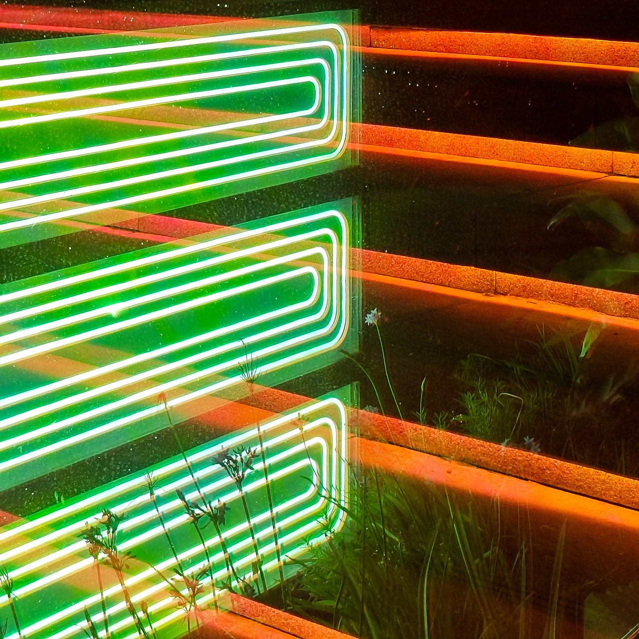 小米手机|记录身边的美好