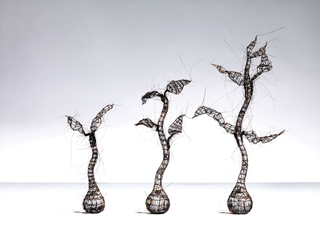 重新想象——纽约广告节泰国平面广告选辑（图ZMzY5MzU1MDc2） - 品牌 - 站酷设计师纽约国际广告节原创素材 - 站酷ZCOOL