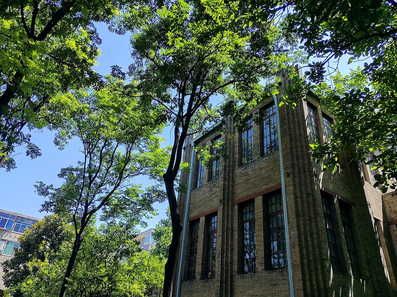 在这浓浓绿意里，地面滑腻的青苔日渐增厚，茂盛的槐树兀自矗立，时光似乎凝固在这一方天地里。
