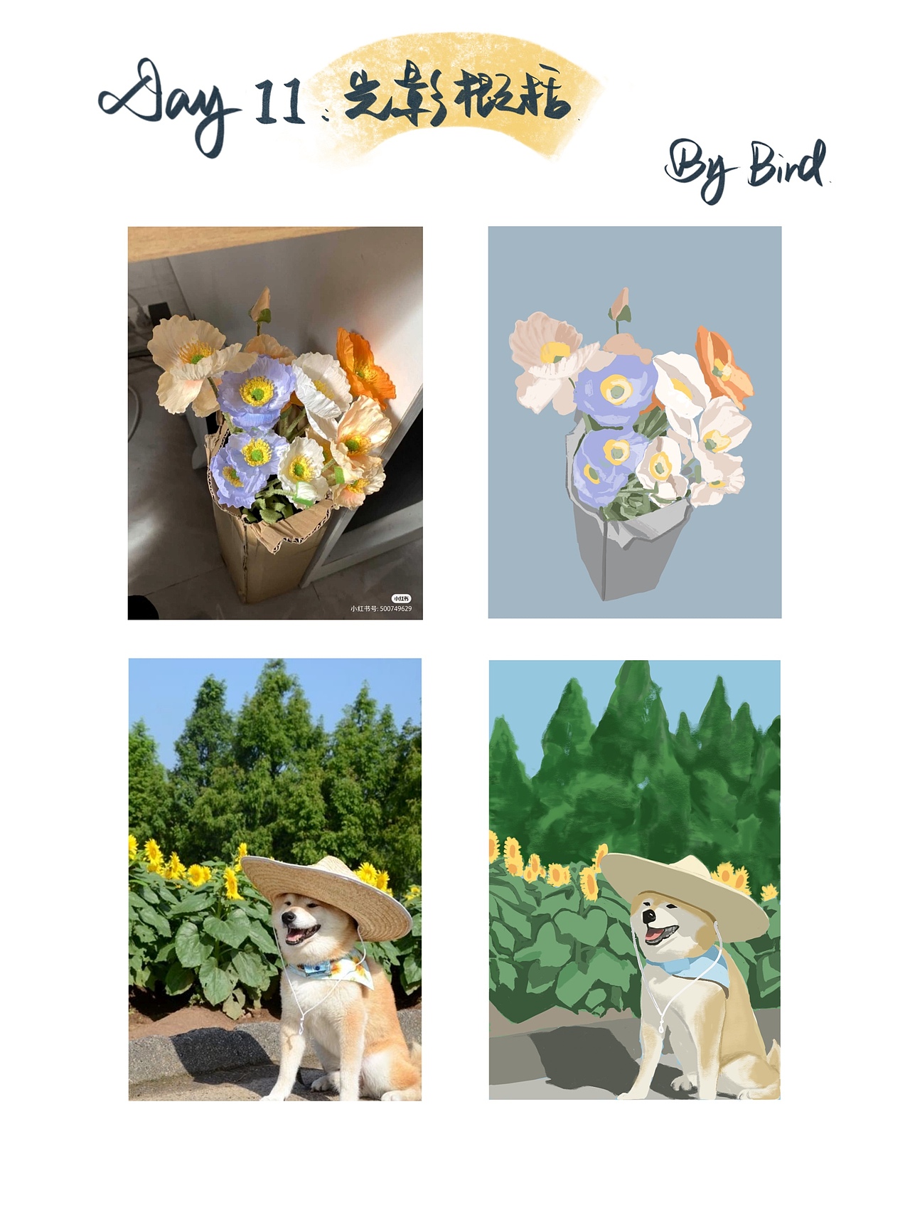 色彩派对三十天-DAY11