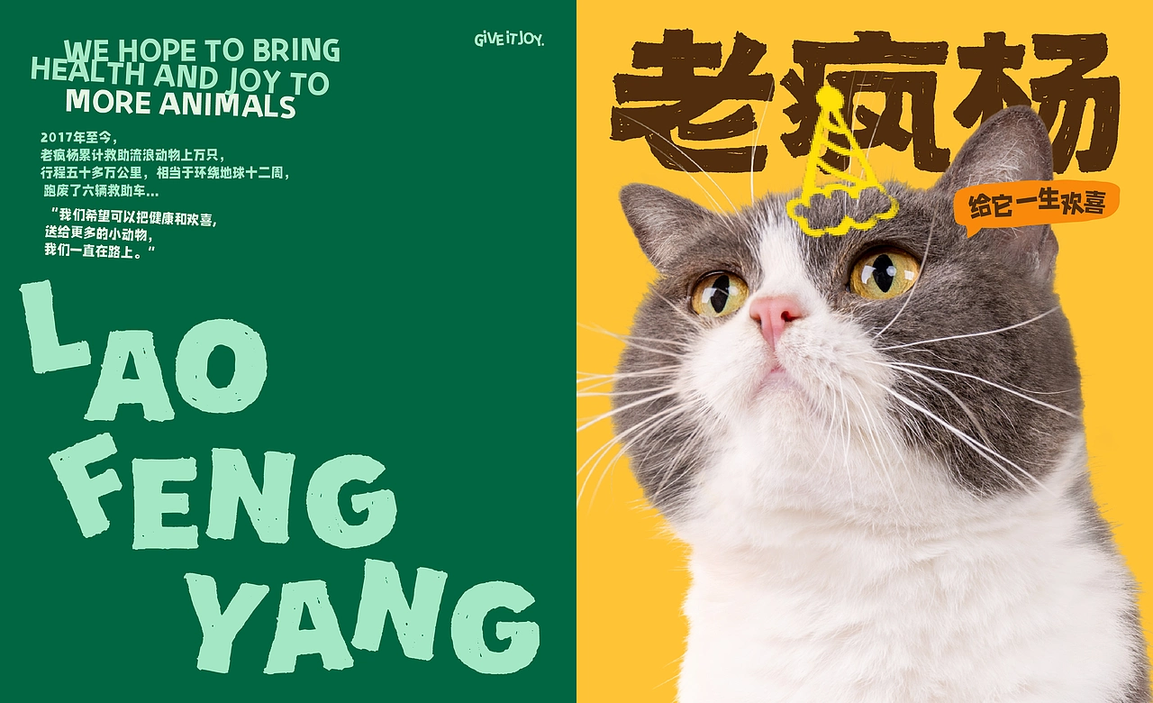 《老疯杨》宠物品牌全案设计——给它一生欢喜