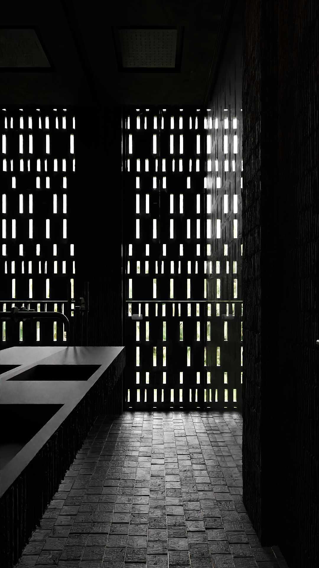 黑色森林——現代極簡別墅案例