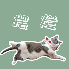 叮当的单身生活（图ZMzEyODE1MTg4） - 网络表情 - 站酷设计师runningPP原创素材 - 站酷ZCOOL