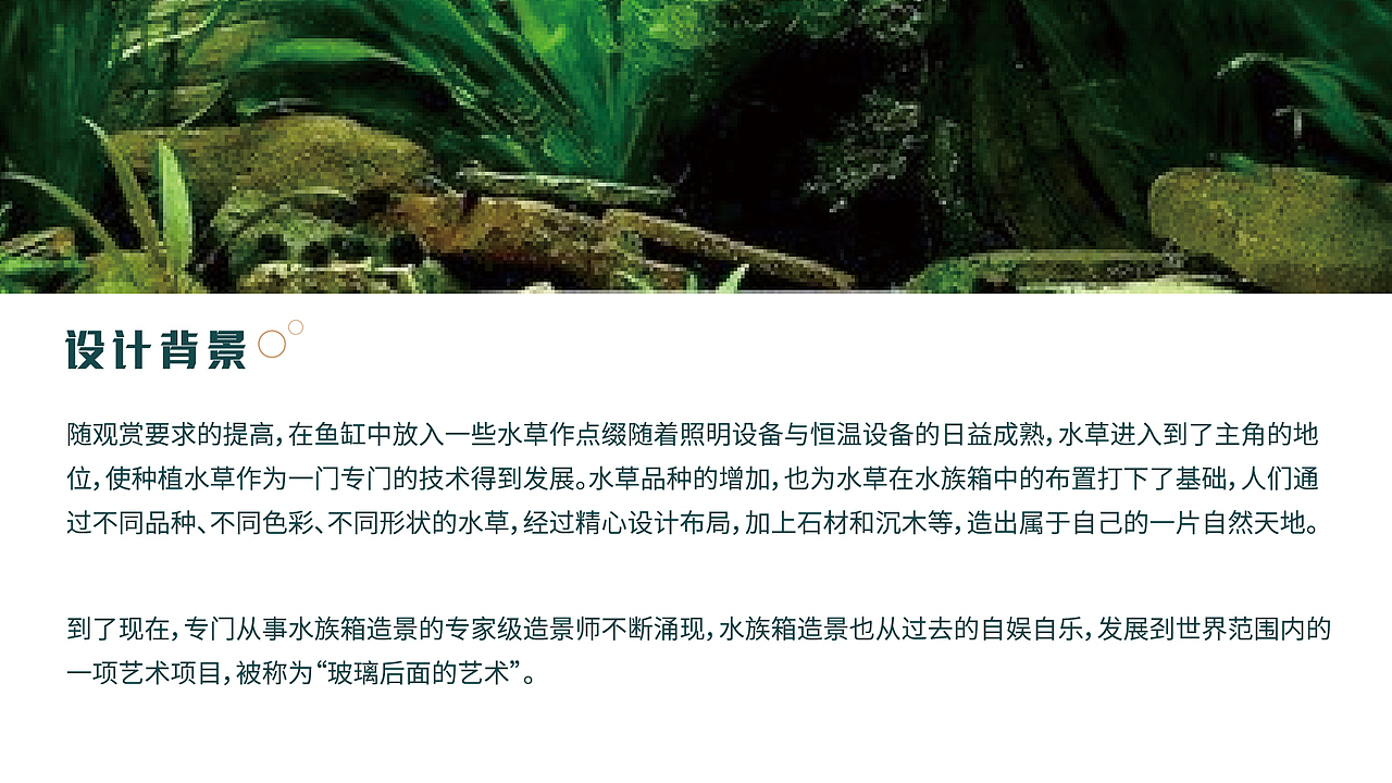 小姜水景——LOGO设计（图ZMzA0NzY3NzA4） - Logo - 站酷设计师三七四十九原创素材 - 站酷ZCOOL