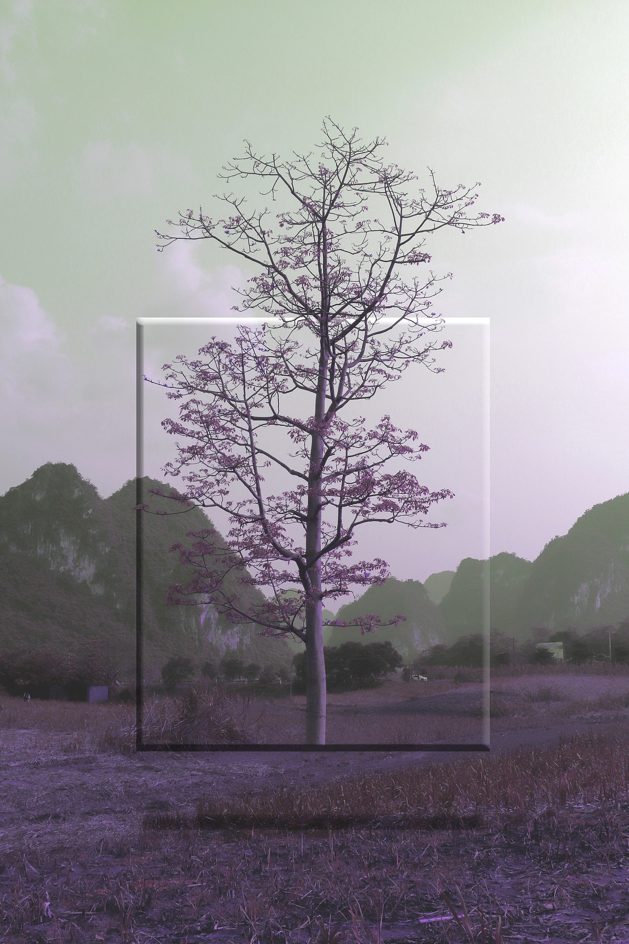 镜面（图ZMzEzNzI5NjY0） - 其他摄影 - 站酷设计师云南酸浆米线原创素材 - 站酷ZCOOL