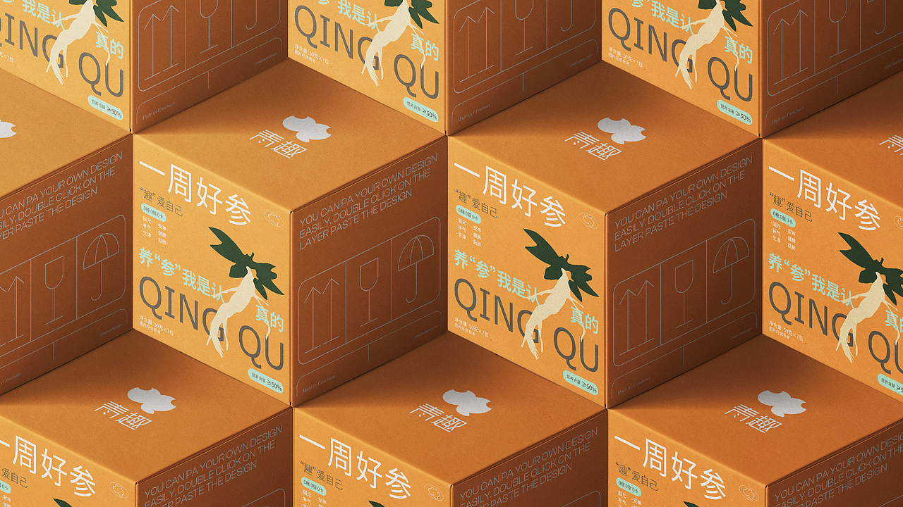 “青趣”品牌策划与系统设计方案