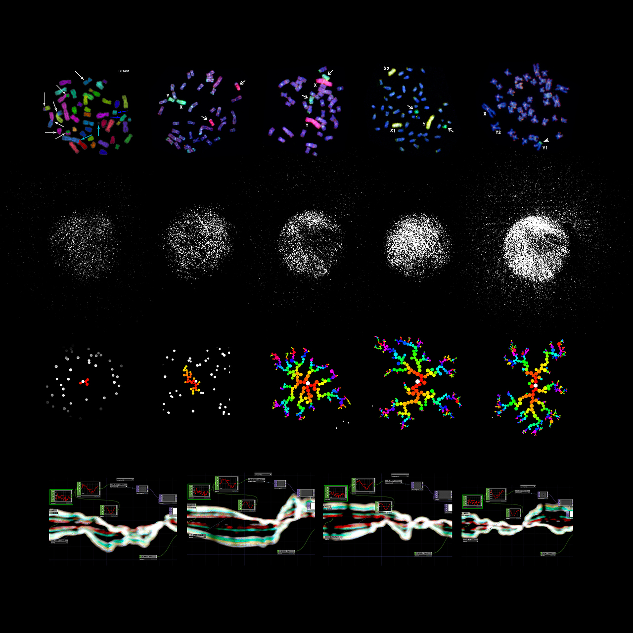 算法训练测试过程-生成形态演变