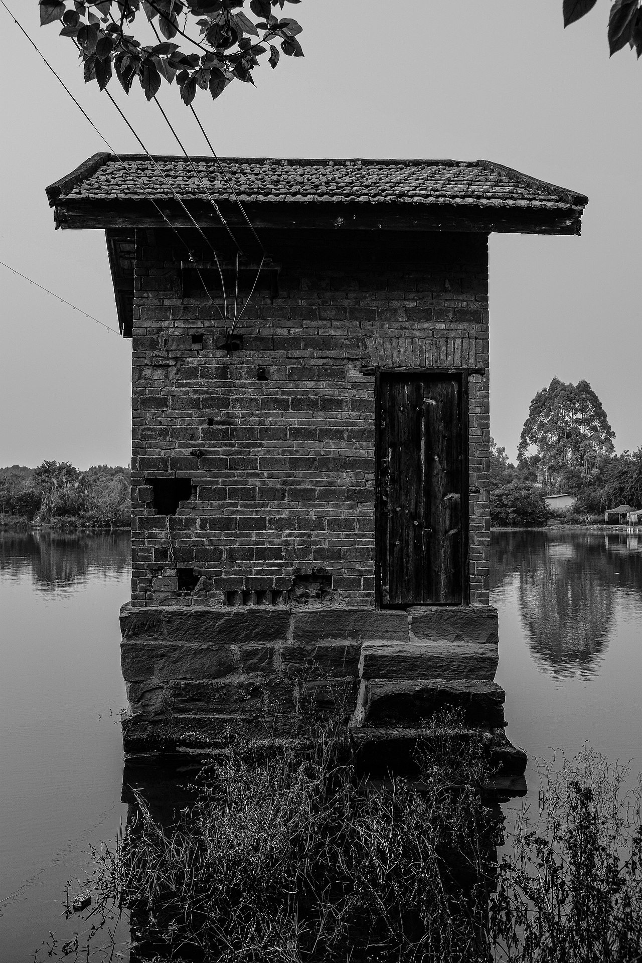 关于严肃的游园日记