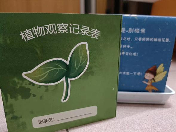 毕业设计-儿童植物科普立体绘本套装