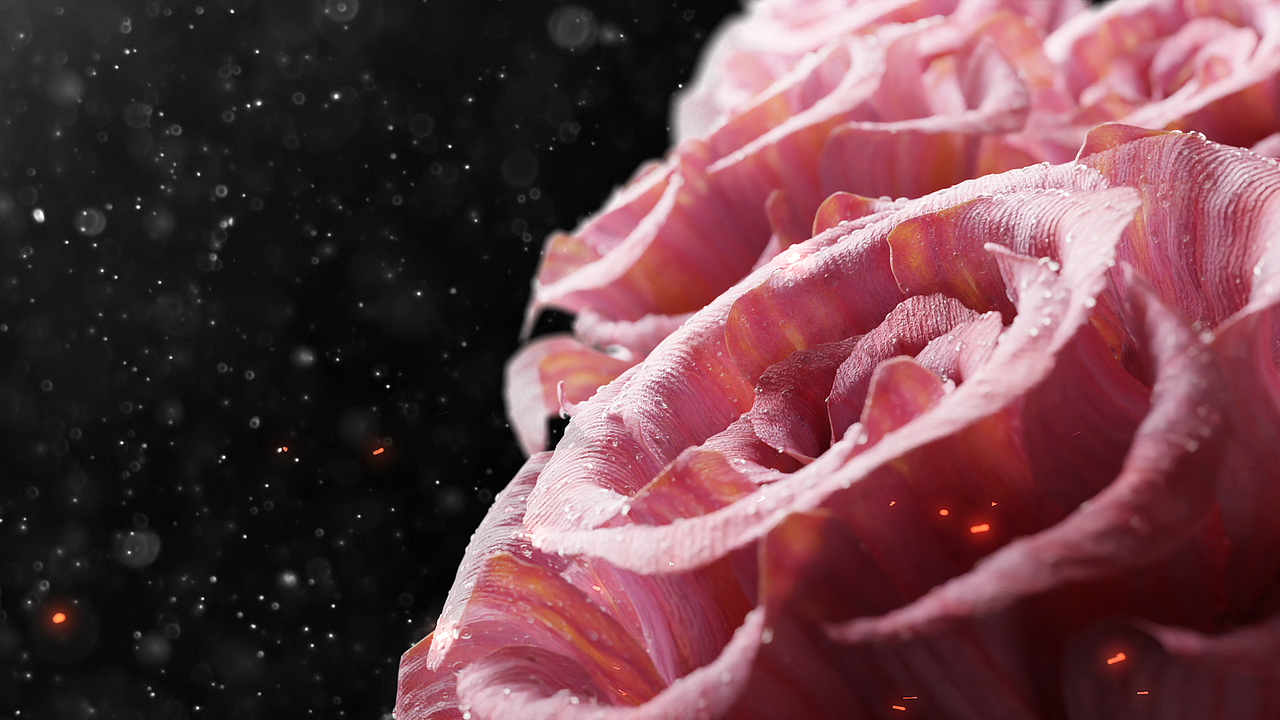 近期渲染（图ZMzQxNzMzMjI0） - 产品 - 站酷设计师安缓袖原创素材 - 站酷ZCOOL