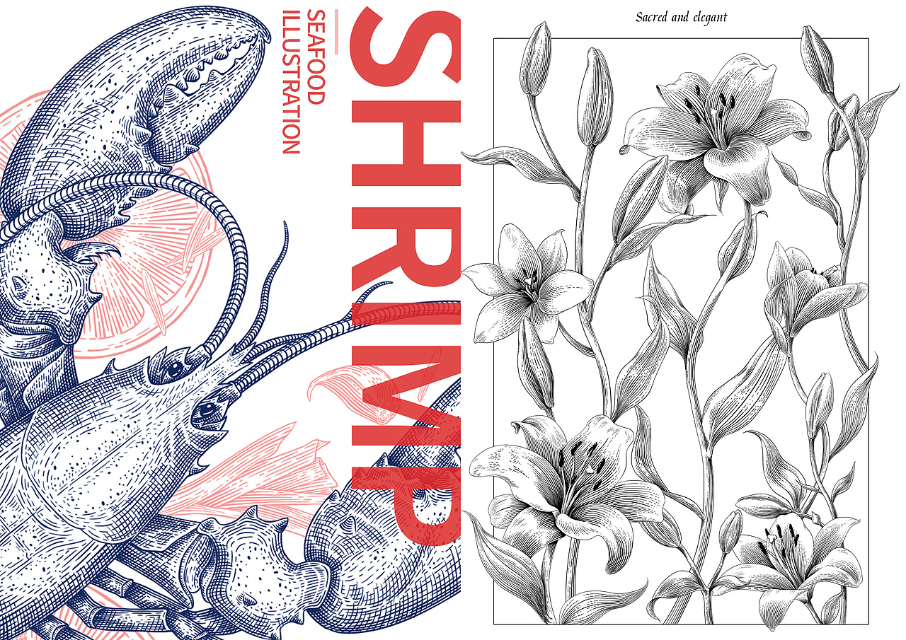 百合花/虾——商业插画版画风（图ZMzY4MTI5NDgw） - 商业插画 - 站酷设计师长亭晚晚原创素材 - 站酷ZCOOL