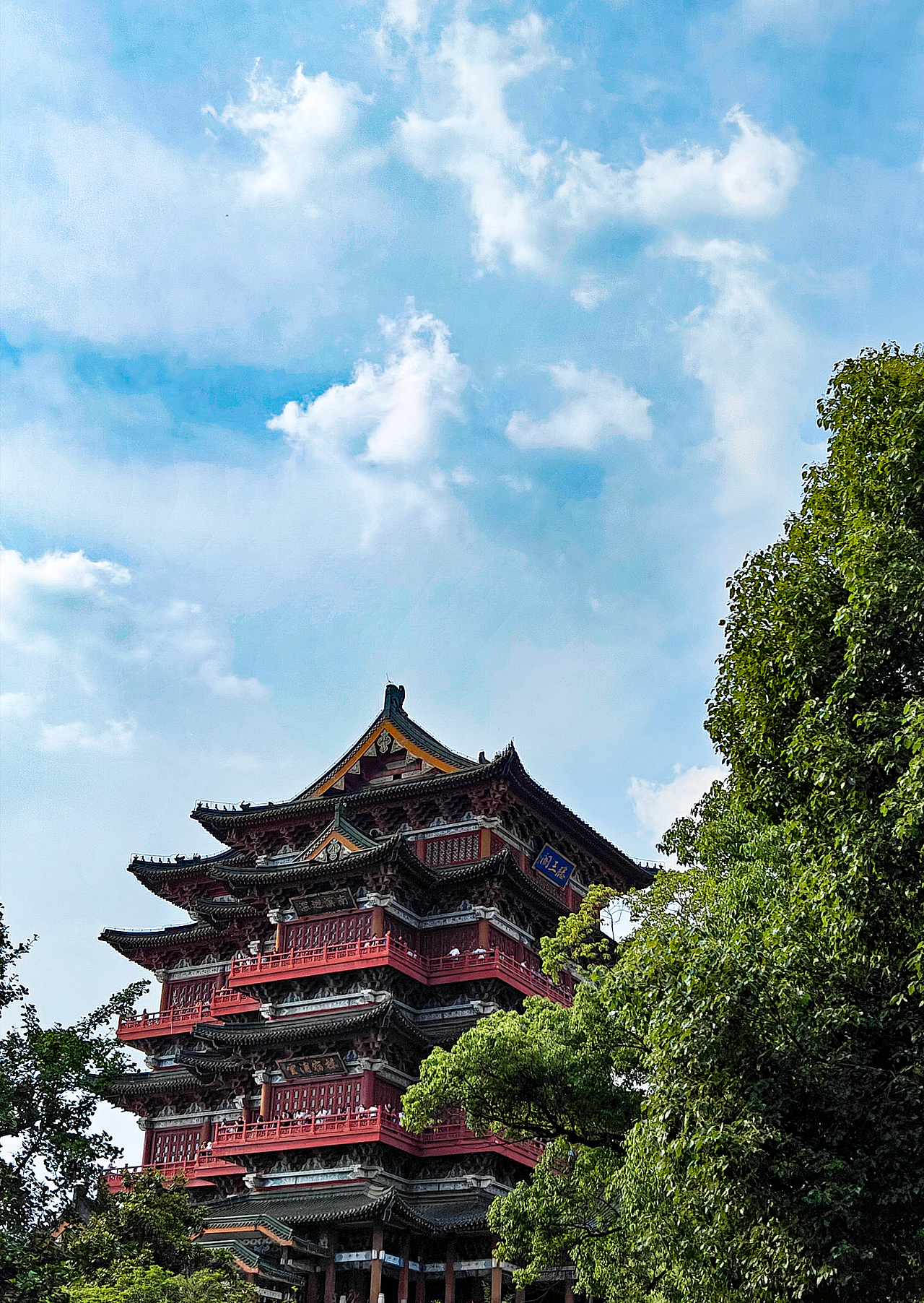 手机摄影丨近期记录 一加 ACE2 PRO