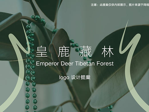 《皇鹿藏林》LOGO提案