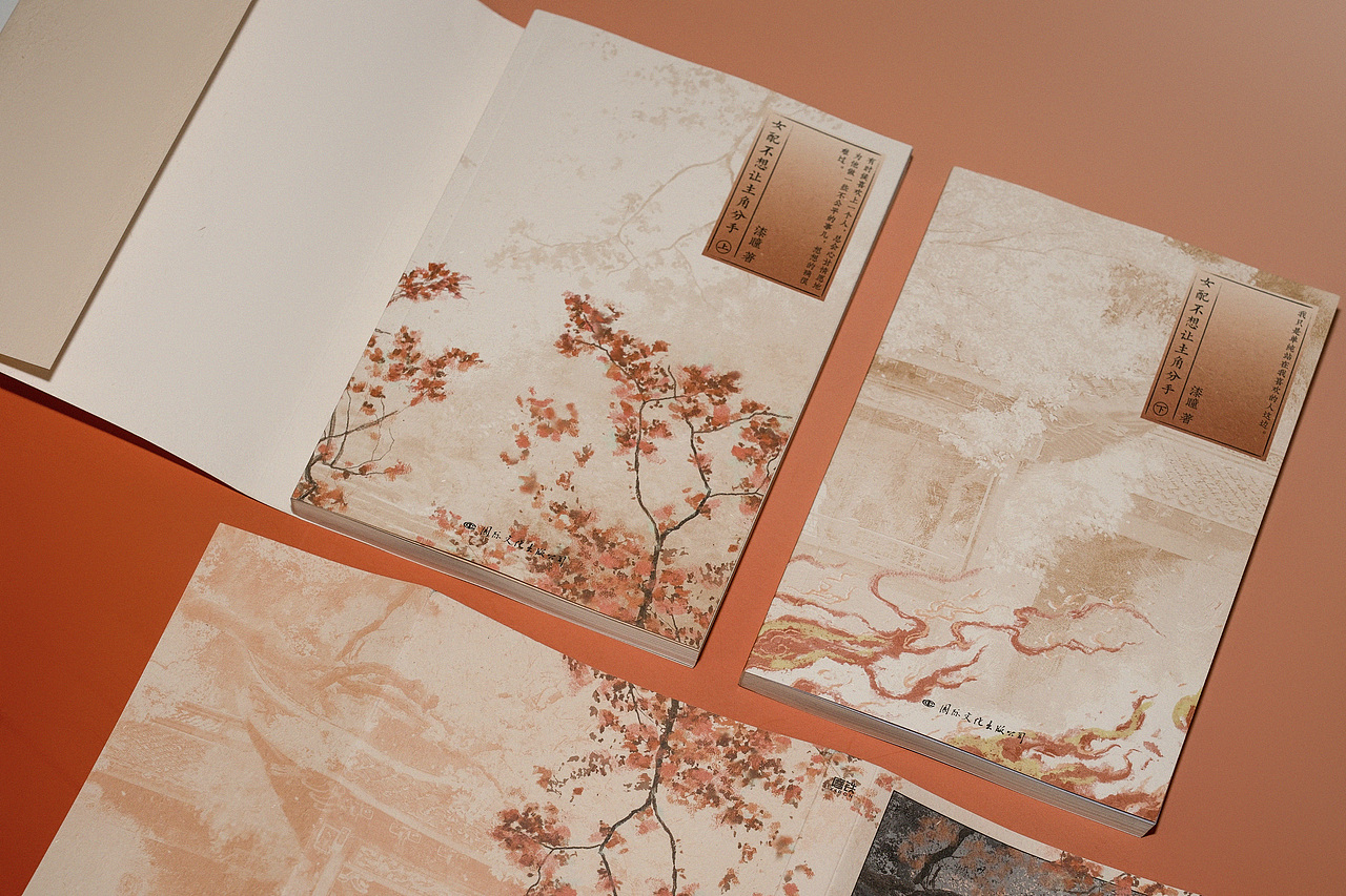 《女配不想让主角分手》 书籍装帧设计（图ZMzcwNDk2OTE2） - 书籍/画册 - 站酷设计师商块三3原创素材 - 站酷ZCOOL