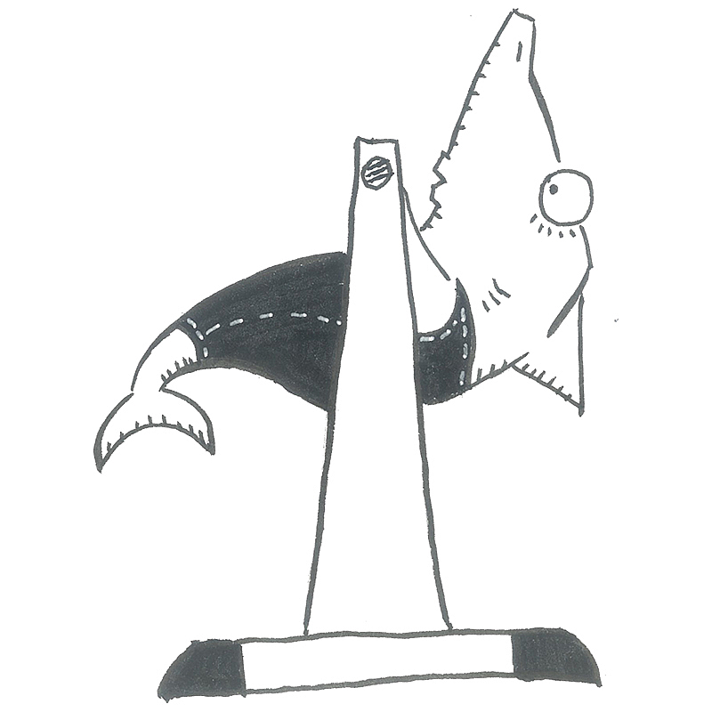 手绘《鲨鱼菲特》