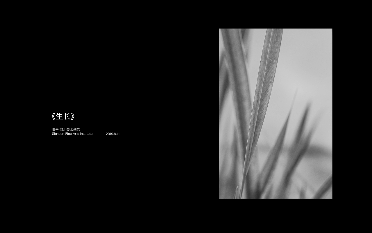 《我藏匿在光中》（图ZMTc2NTE2Mjky） - 风光摄影 - 站酷设计师UPCHAN原创素材 - 站酷ZCOOL