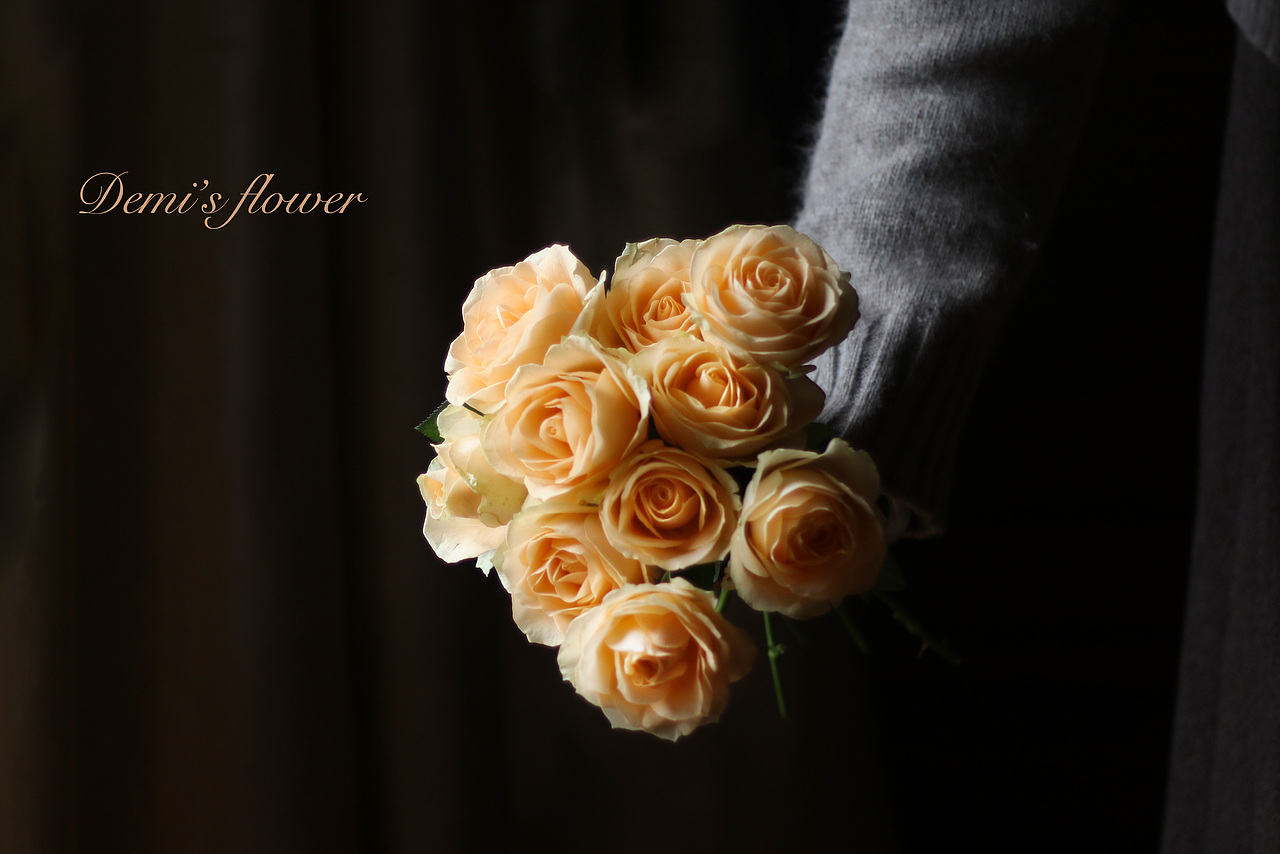 生活之美:一束玫瑰