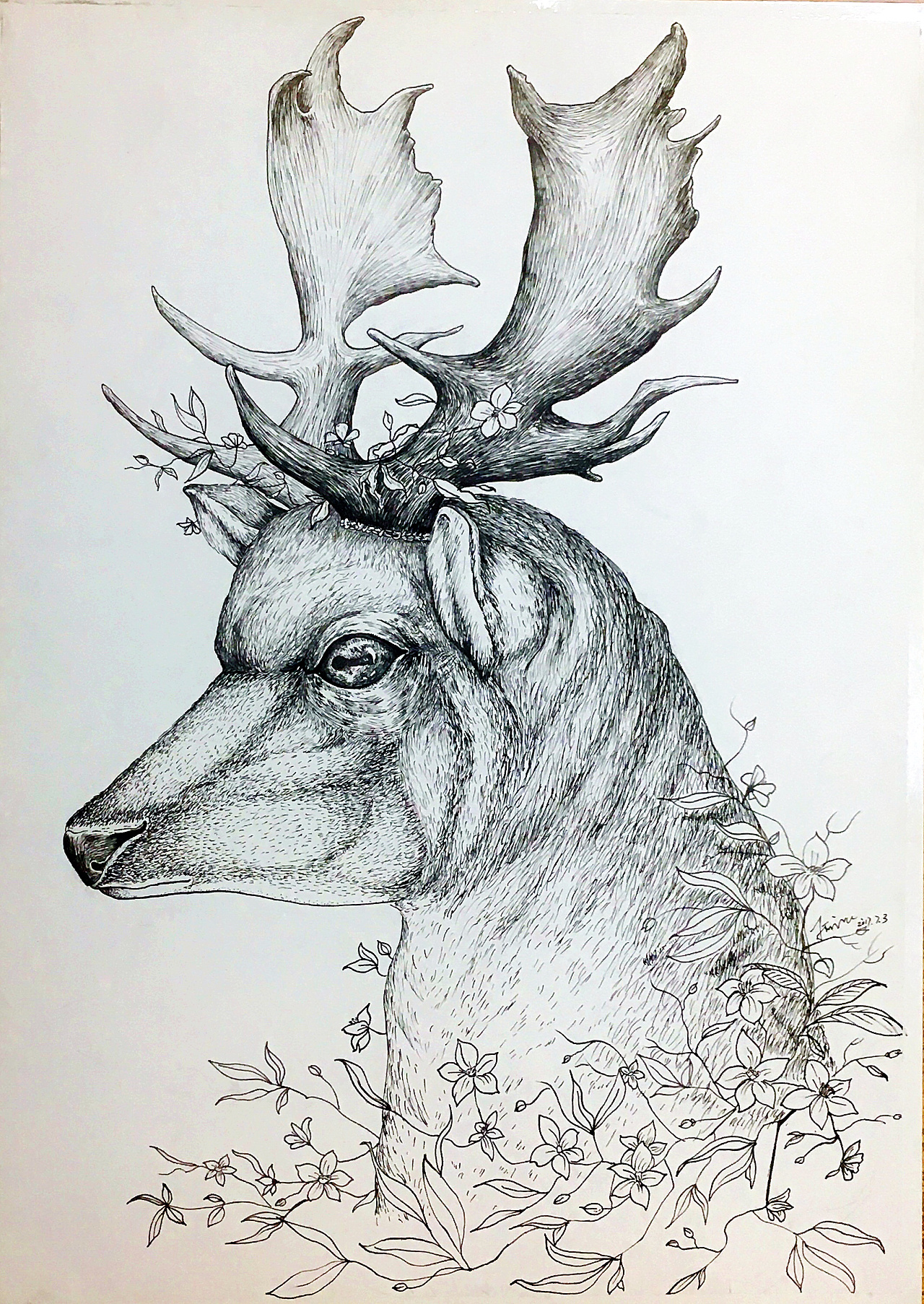 鹿的素描简笔图片