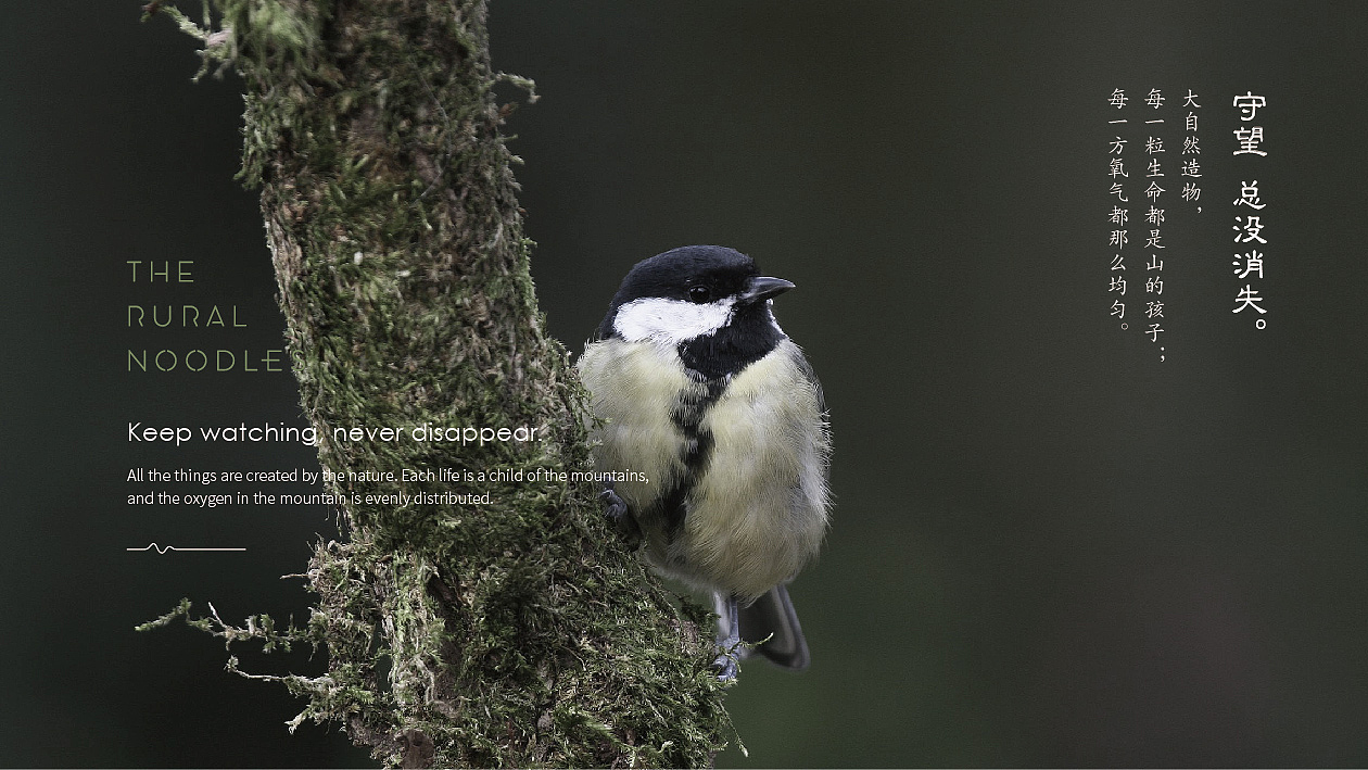 餐饮全案设计 vi 餐饮品牌 vi设计 小面火锅品牌vi设计