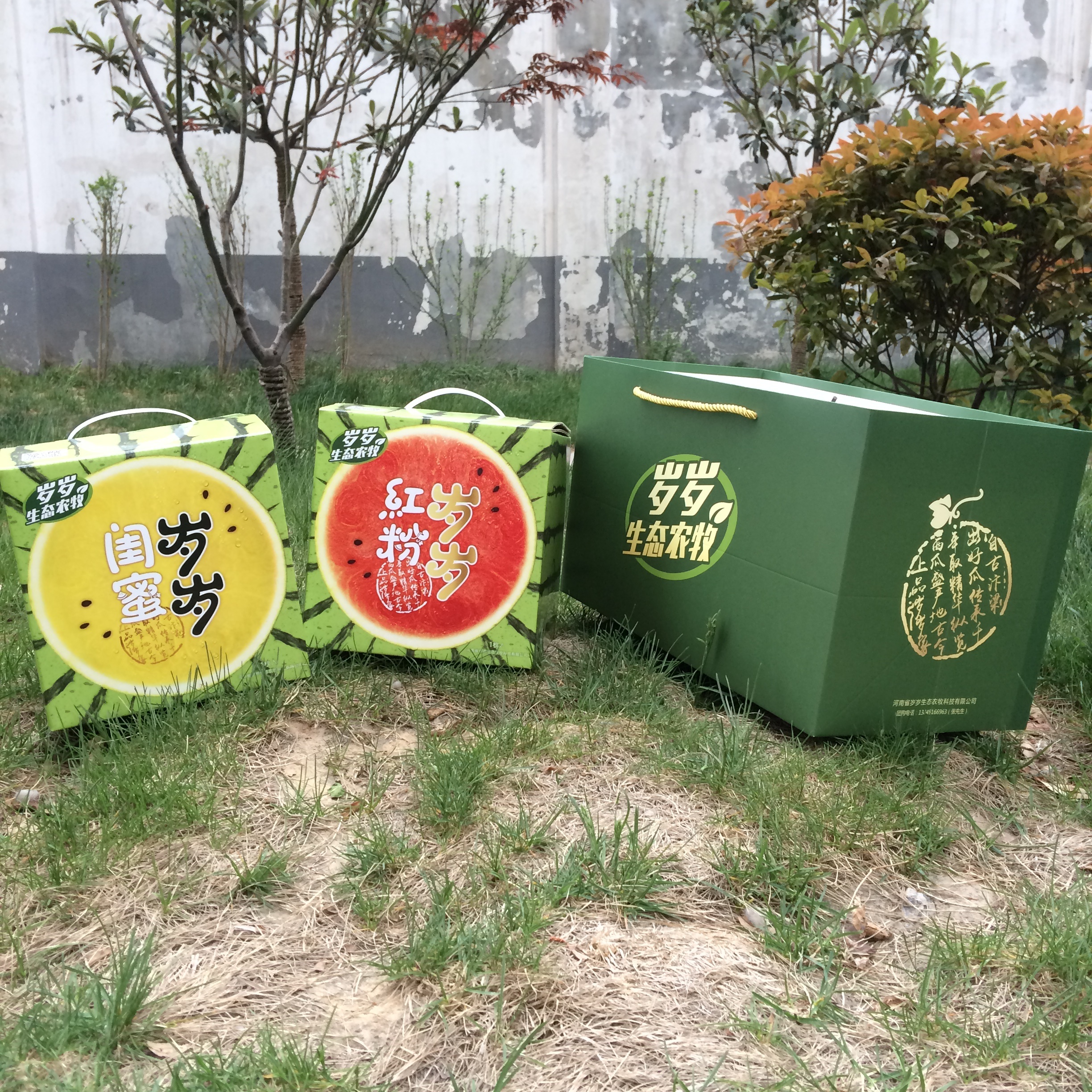 西瓜包装设计 水果包装设计-湖南真功夫设计 工作室