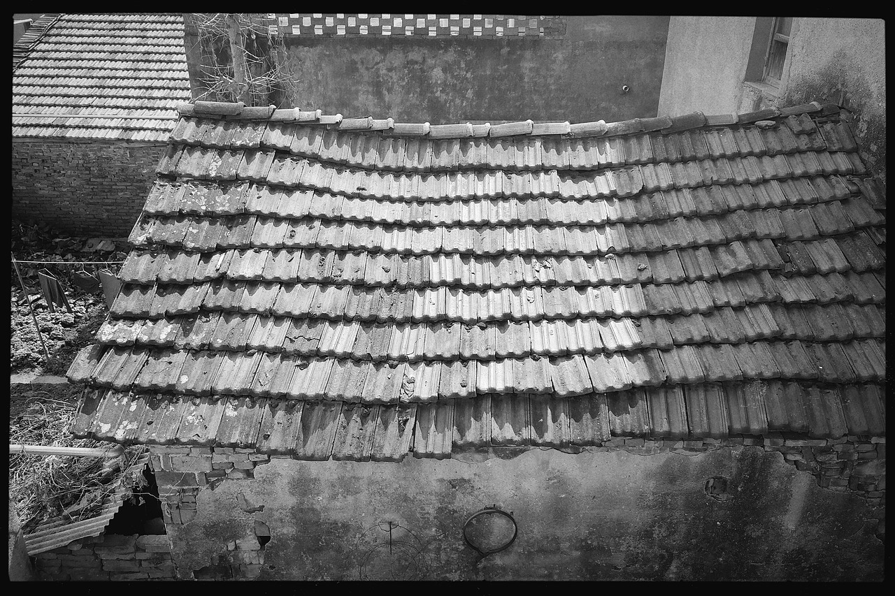 新冠期间的湖北